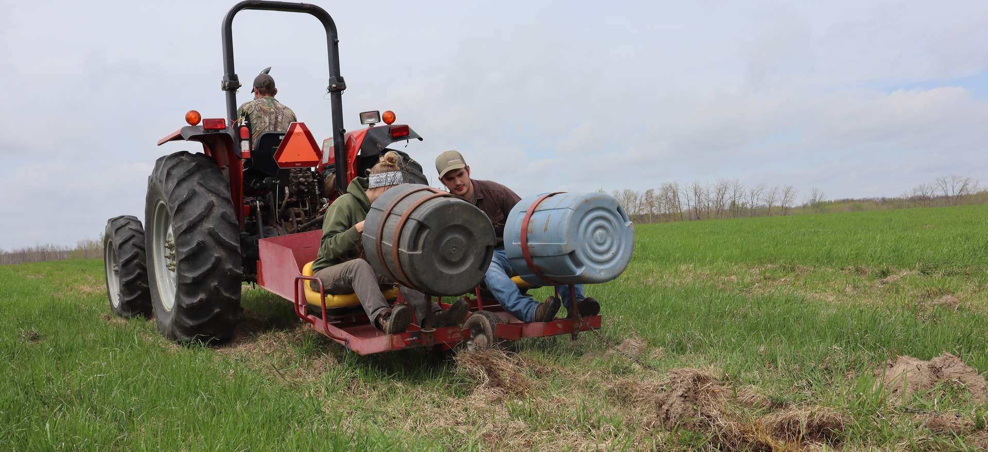 Wadena SWCD Tree Program